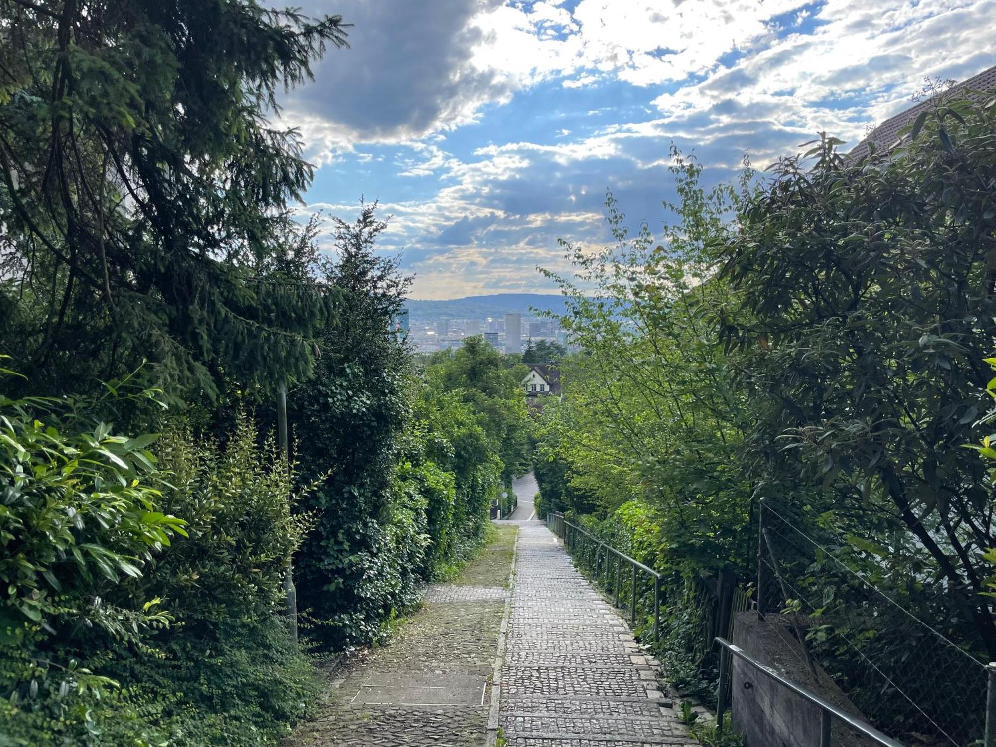 Luxury, Quiet Flat Overlooking Zürich